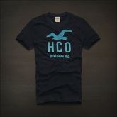 Hollister Men Short T-shirt 20120223 010