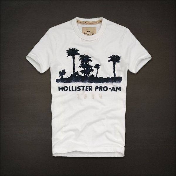 Hollister Men Short T-shirt 20120223 006