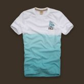 Hollister Men Short T-shirt 20120223 017