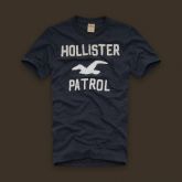 Hollister Men Short T-shirt 20120223 019