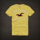 Hollister Men Short T-shirt 20120223 014