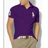 Ralph Lauren Clothing Mens Polo 24