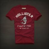 Hollister Men Short T-shirt 20120223 009